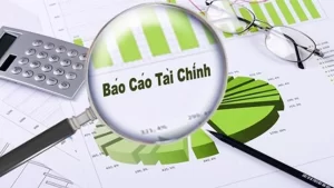 Bao Cao Tai Chinh La Gi 2806150605