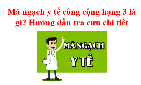 Mã Ngạch Y Tế Công Cộng Hạng 3 Là Gì Hướng Dẫn Tra Cứu Chi Tiết