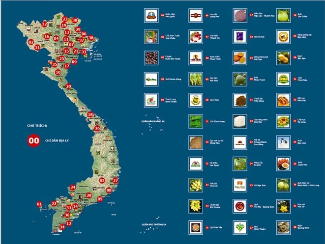 Nhãn Hiệu Quốc Tế Là Gì