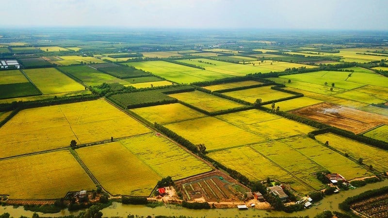 Quy định Tách Thửa đất Nông Nghiệp Tại Đồng Nai
