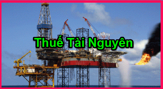 Thuetainguyen