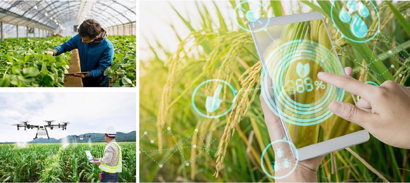Tìm Hiểu Về Bộ Nông Nghiệp Và Phát Triển Nông Thôn [2023]