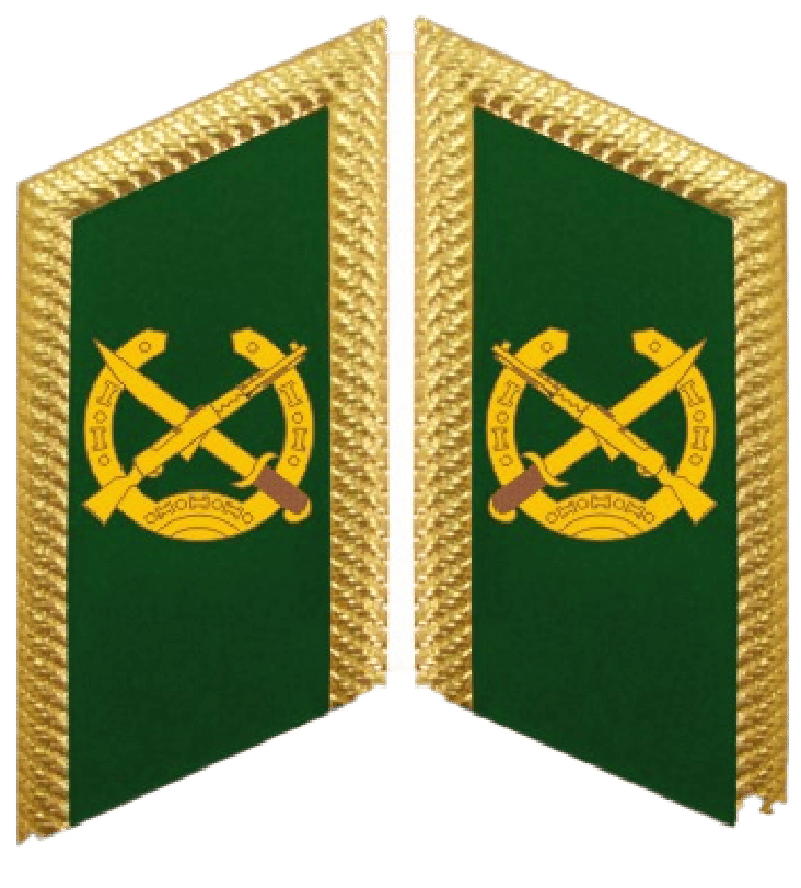 Vietnam Border Defense Force General Rank Lapel