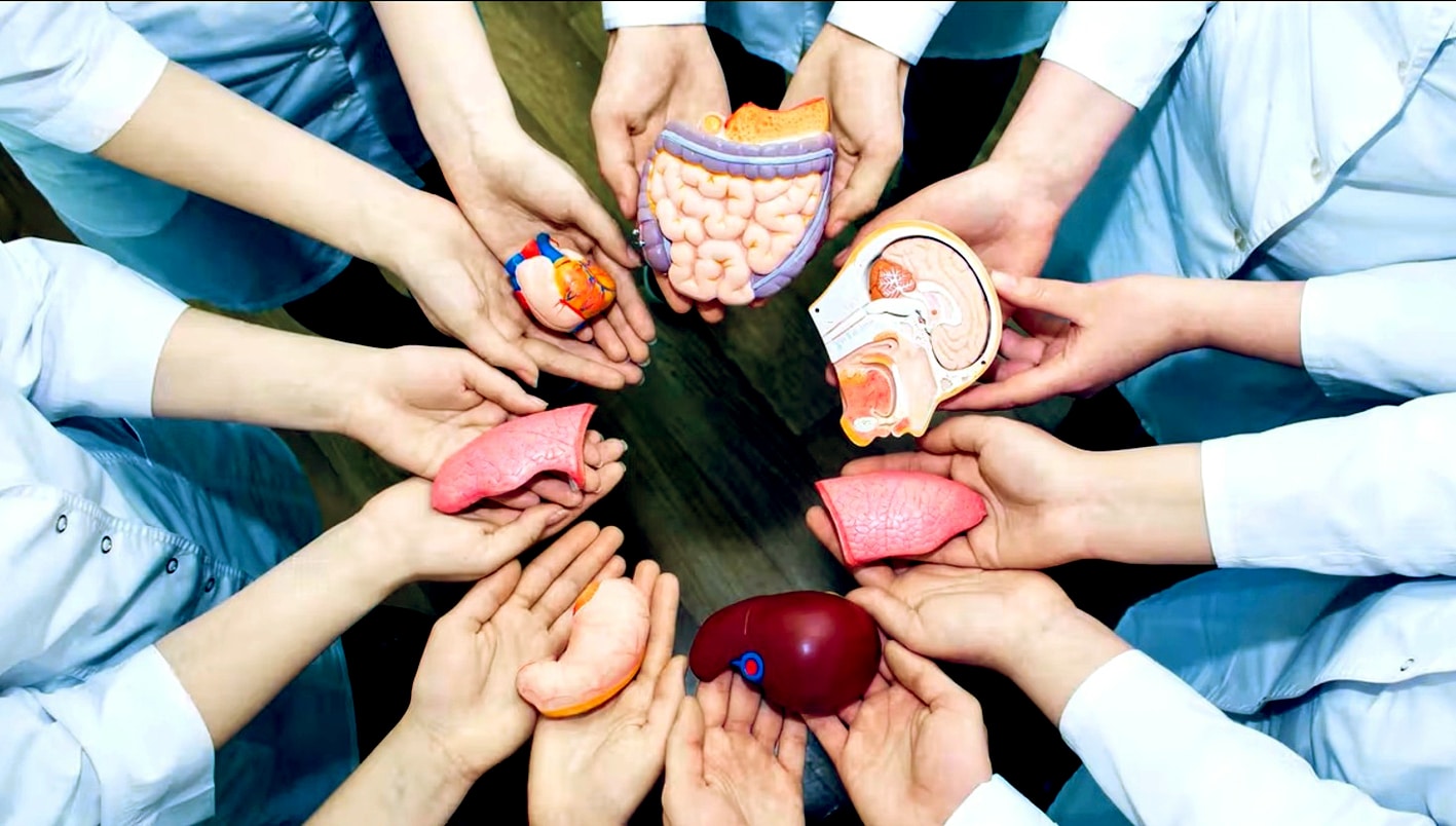 Bao Nhiêu Tuổi được đăng Ký Hiến Tạng