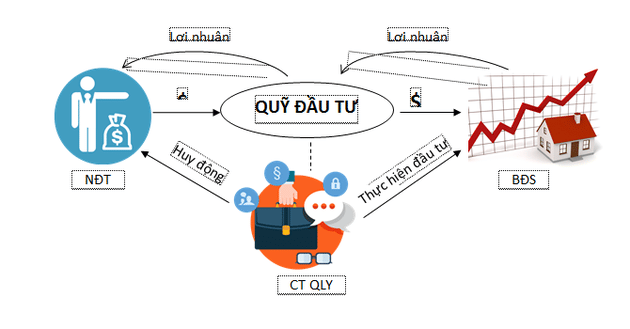 Các Loại Quỹ đầu Tư Tại Việt Nam.1