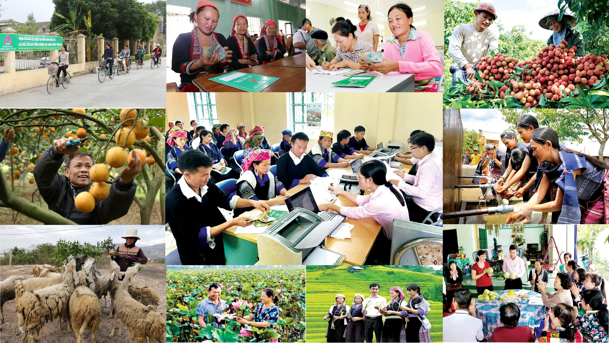 Câu Hỏi Về Luật An Sinh Xã Hội