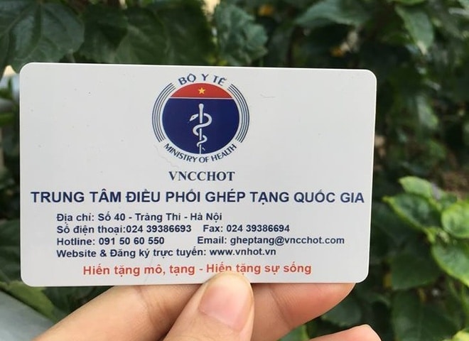 Hiến Mô Tạng Là Gì