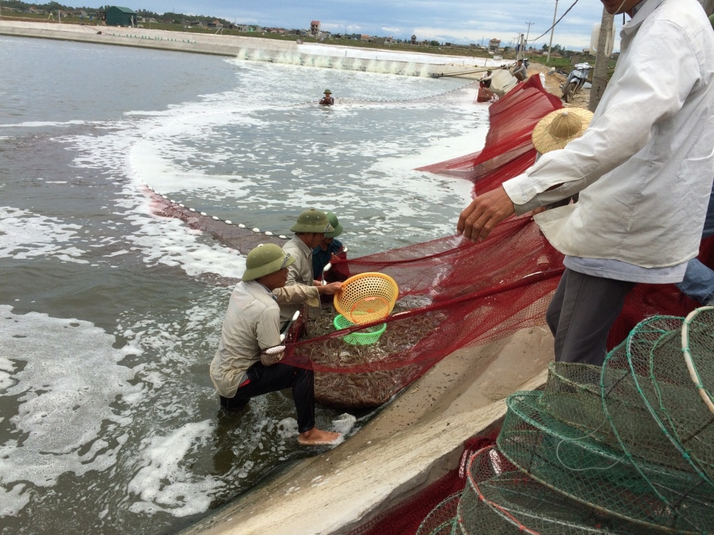 Image 20210204151703 1