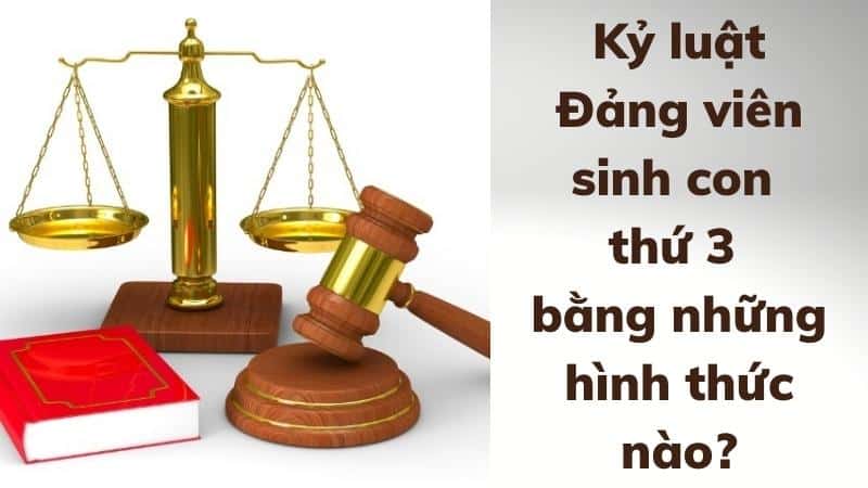 Ky Luat Dang Vien Sinh Con Thu 3 Bang Nhung Hinh Thuc Nao