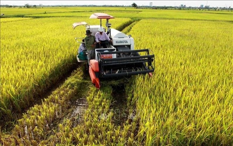 Quy định Tách Thửa đất Nông Nghiệp Kon Tum