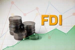 Các Doanh Nghiệp Fdi Lớn Nhất Việt Nam