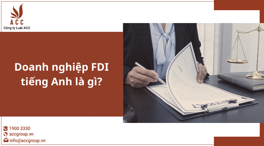 Doanh nghiệp FDI Tiếng Anh là gì?