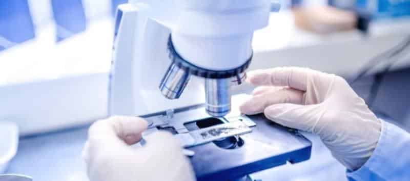 Kỹ Thuật Viên Xét Nghiệm Tiếng Anh Là Gì Vieclam123.vn