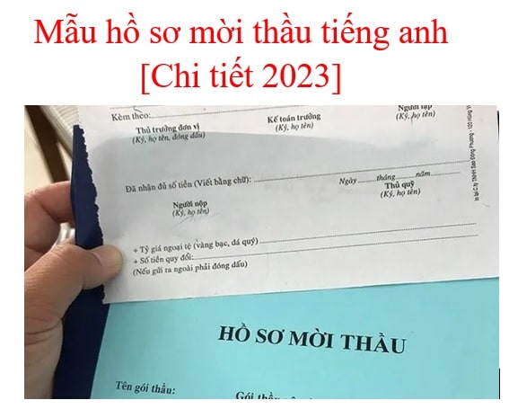 Mẫu Hồ Sơ Mời Thầu Tiếng Anh [chi Tiết 2023]