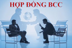 Dịch vụ tư vấn đầu tư theo hình thức hợp đồng BCC