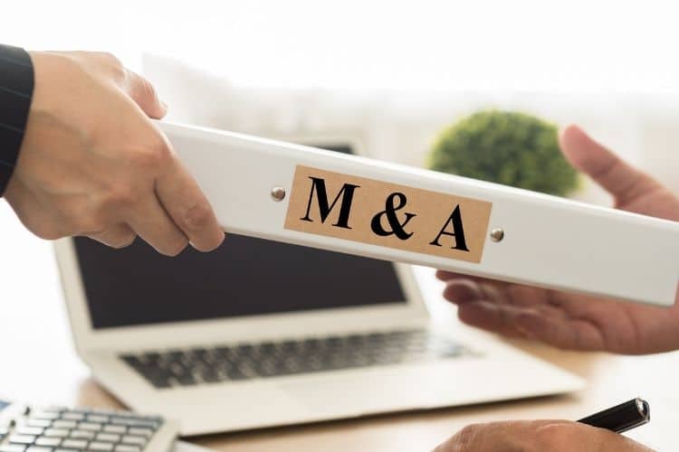 mua-ban-doanh-nghiep-theo-hinh-thuc-so-huu-von-dieu-le-1