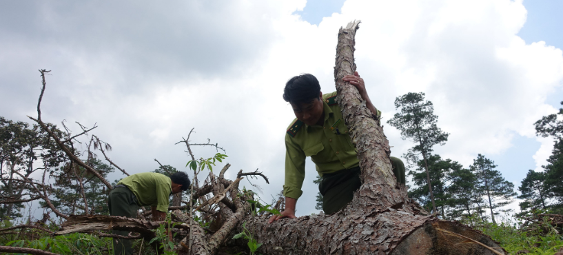 Screenshot 2023 04 19 084704