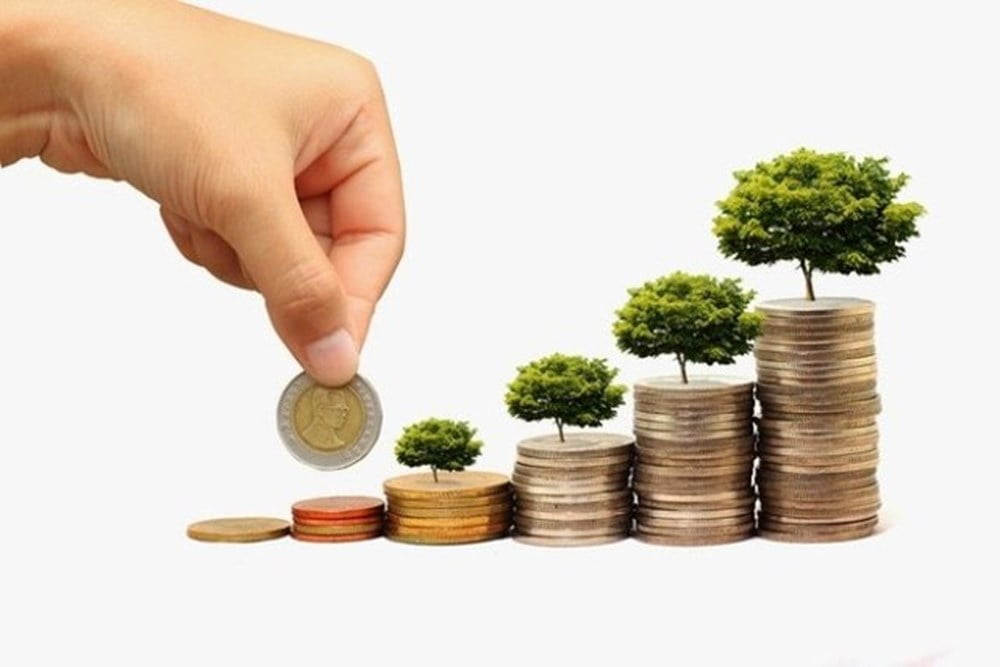 Góp Vốn Thành Lập Công Ty Tnhh 1 Thành Viên