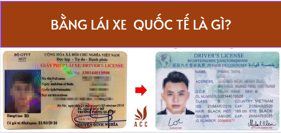 Bằng lái xe quốc tế tiếng trung là gì?