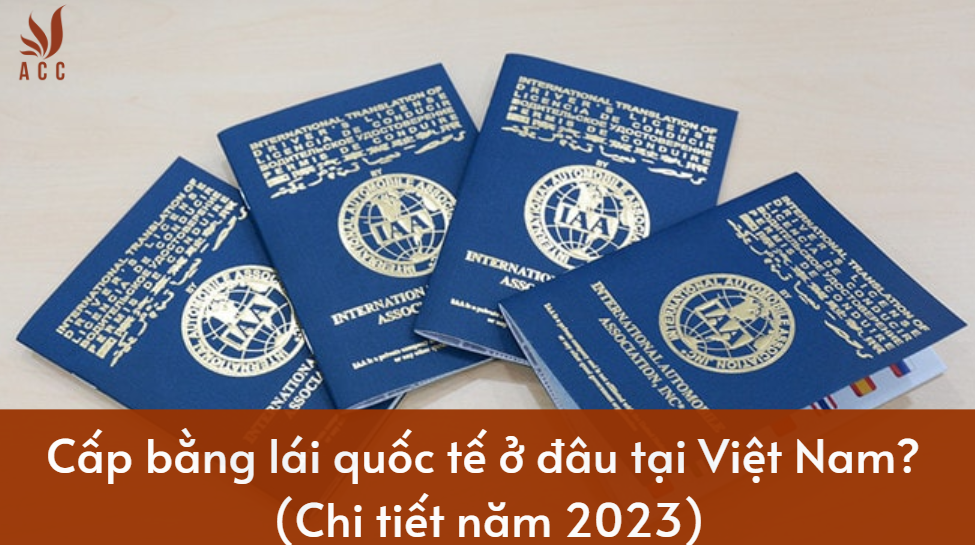 Cấp bằng lái quốc tế ở đâu tại Việt Nam? (Chi tiết năm 2023)