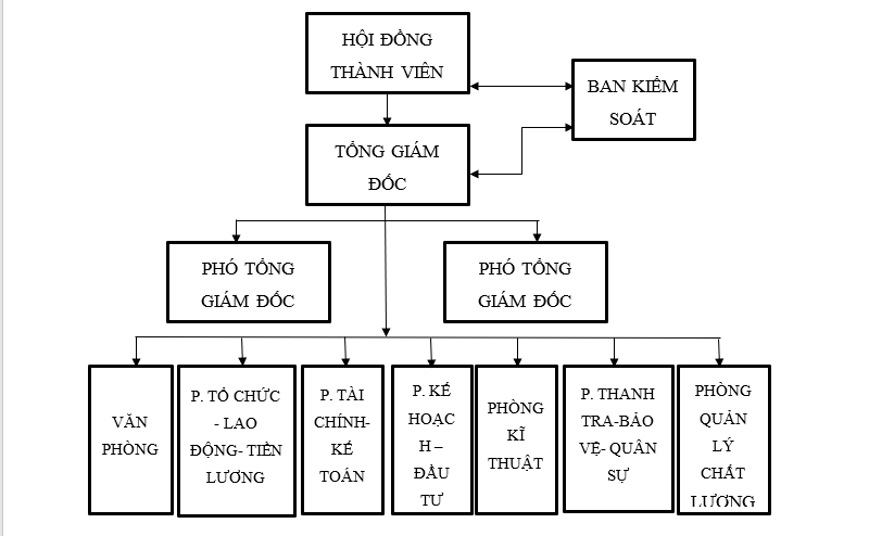 sơ đồ cơ cấu tổ chức của một công ty