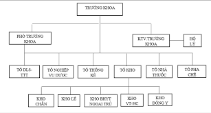 sơ đồ cơ cấu tổ chức khoa dược bệnh viện