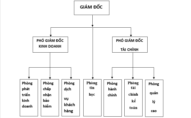 sơ đồ cơ cấu tổ chức bộ máy quản lý