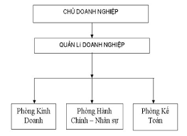 sơ đồ cơ cấu tổ chức doanh nghiệp tư nhân