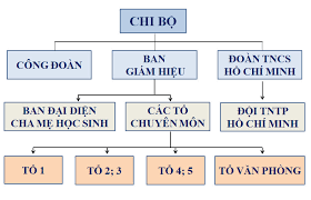sơ đồ cơ cấu tổ chức trường tiểu học