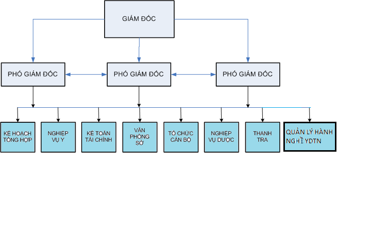 sơ đồ tổ chức sở y tế