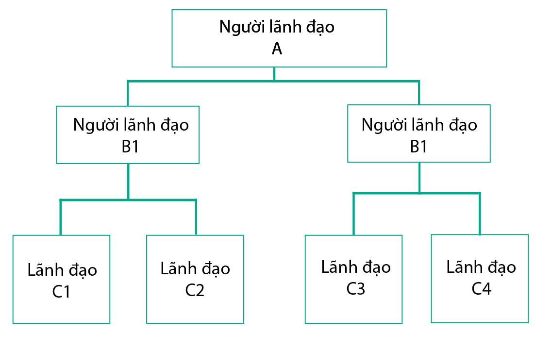 sơ đồ cơ cấu tổ chức trực tuyến chức năng