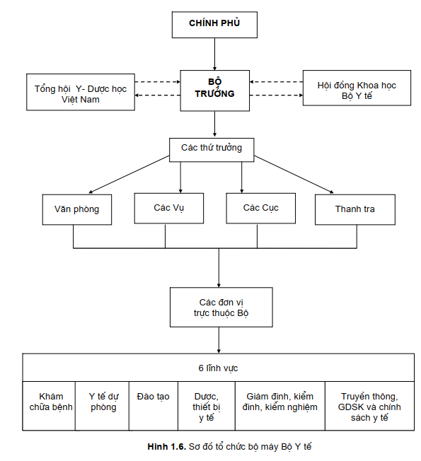 sơ đồ tổ chức y tế việt nam