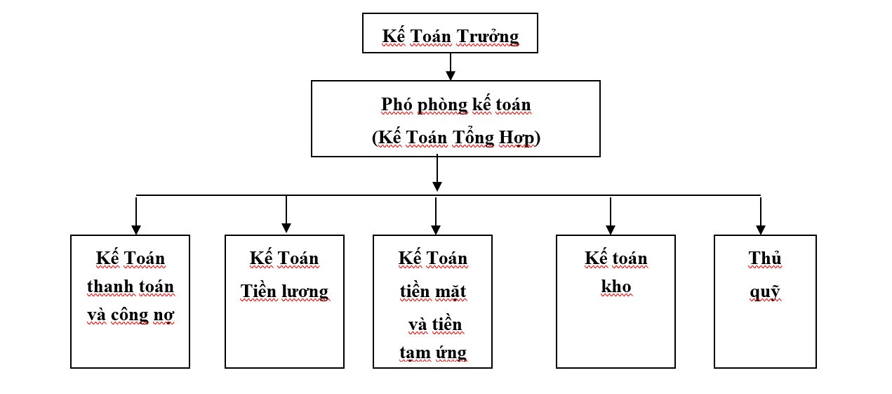 sơ đồ cơ cấu tổ chức phòng kế toán