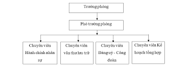 sơ đồ cơ cấu tổ chức văn phòng