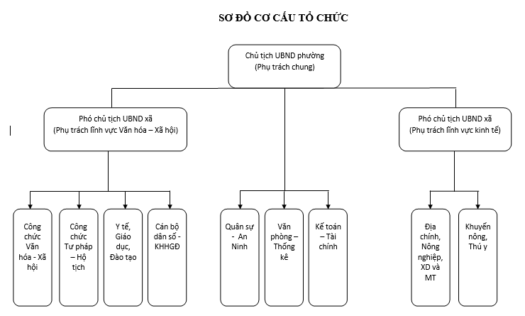 sơ đồ cơ cấu tổ chức ubnd phường
