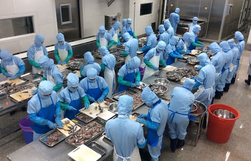 tại sao gccn có ý thức tổ chức kỷ luật