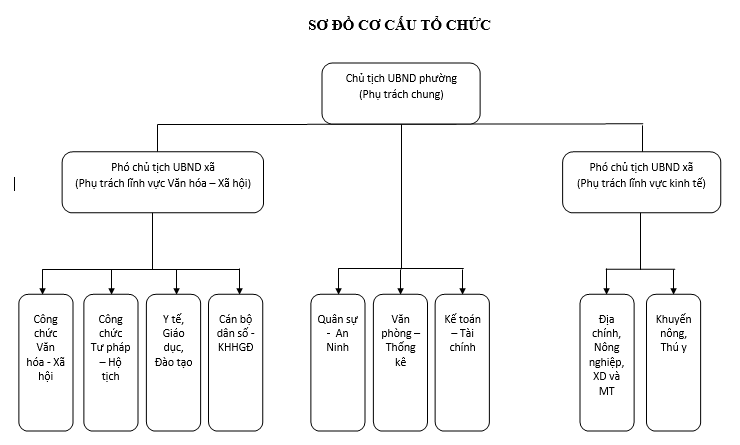 sơ đồ cơ cấu tổ chức của ubnd phường