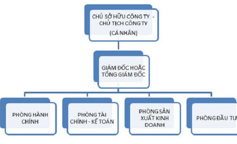 sơ đồ cơ cấu tổ chức công ty cổ phần