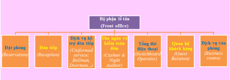 sơ đồ cơ cấu tổ chức bộ phận lễ tân
