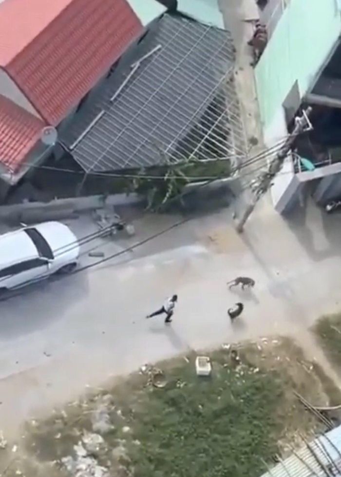 f65d1d7a5737be69e726