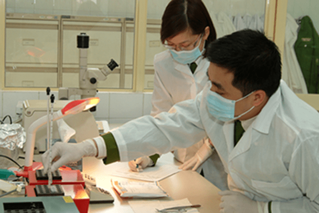 Mẫu Kết Luận Giám định Pháp Y