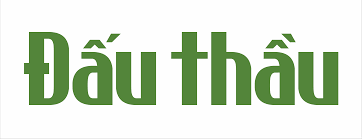 vốn tư nhân có phải đấu thầu không