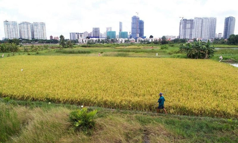 Khi Nào đất Nông Nghiệp được Lên Thổ Cư