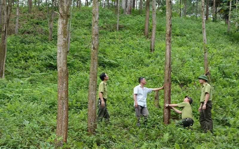 Rừng đặc dụng tiếng anh là gì