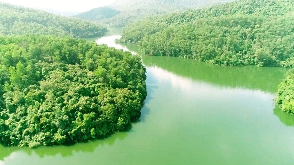 Rừng đặc dụng Và Rừng Phòng Hộ