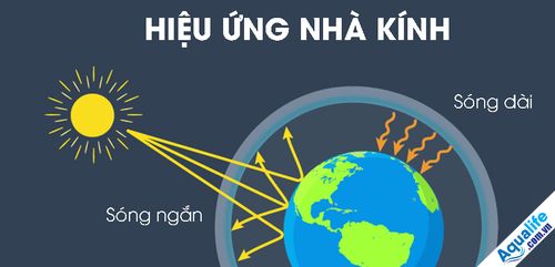 Bảo vệ môi trường giảm hiệu ứng nhà kính