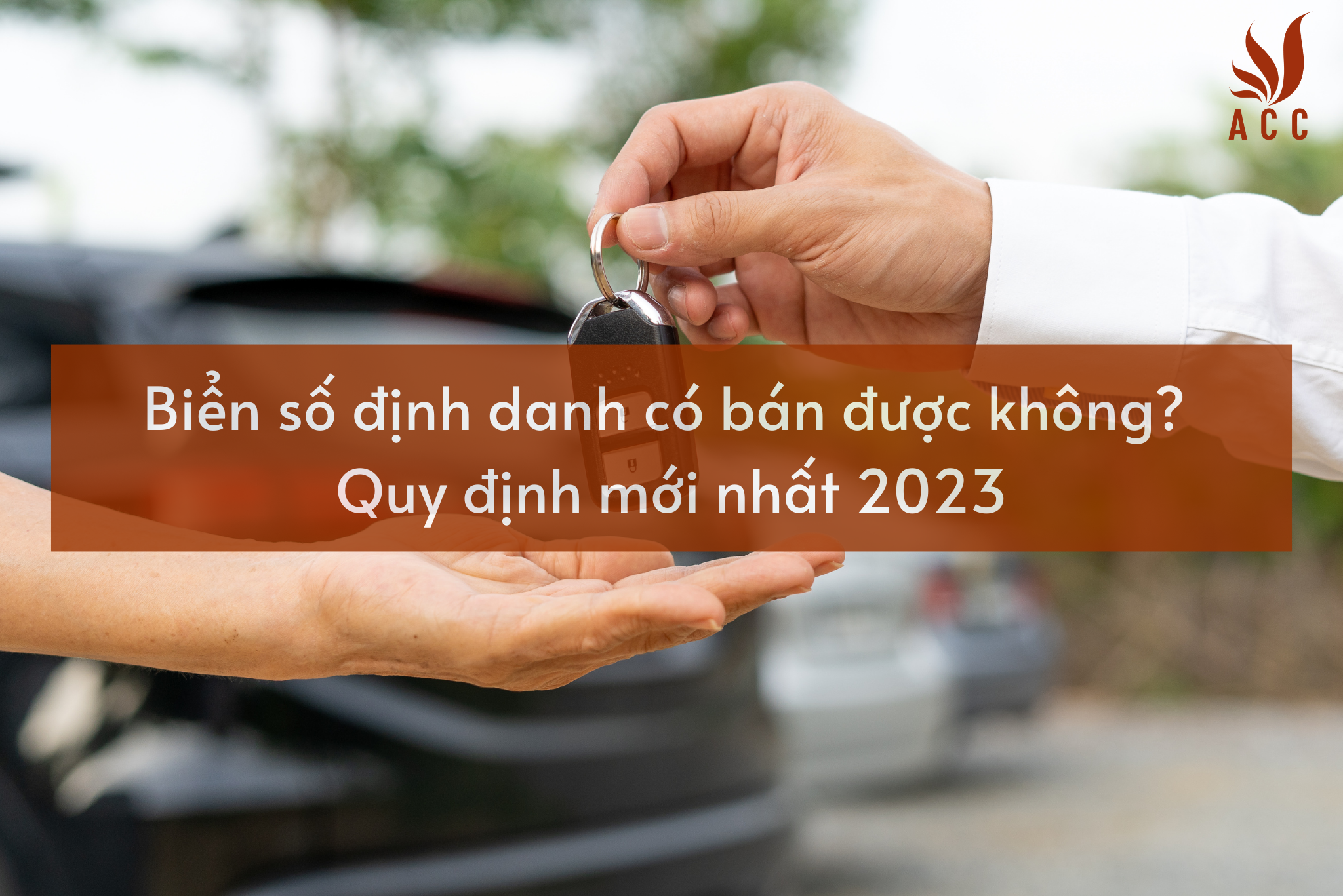 Biển Số định Danh Có Bán được Không