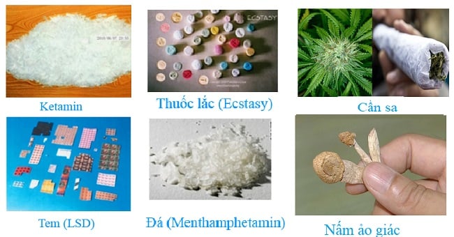 Các Loại Chất Gây Nghiện Hiện Nay