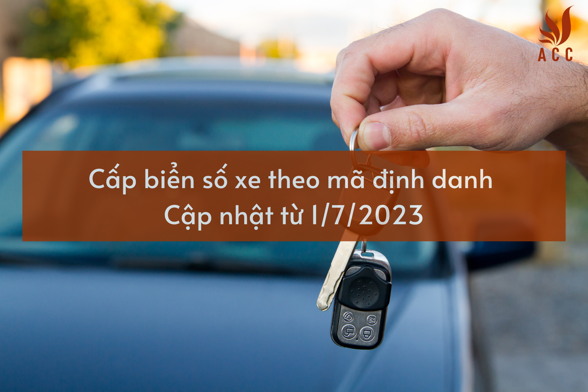 biển số định danh