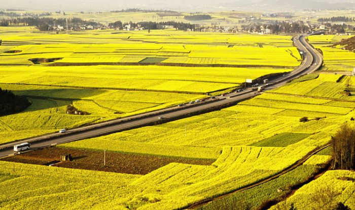 đền Bù đất Nông Nghiệp Giá Bao Nhiêu